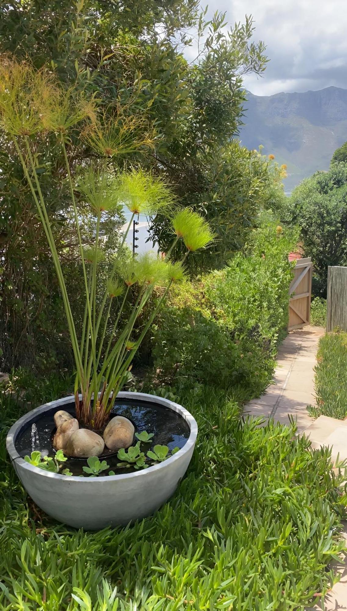 Beautiful View Garden Apartment Cape Town Exterior foto
